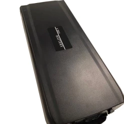 Batteri Classic+ G7 Phylion 2019 11Ah