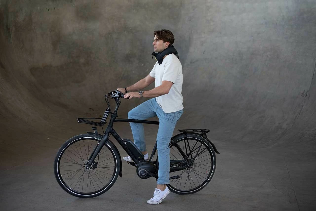 Batavus Harlem 2022 Herr - Bild 2