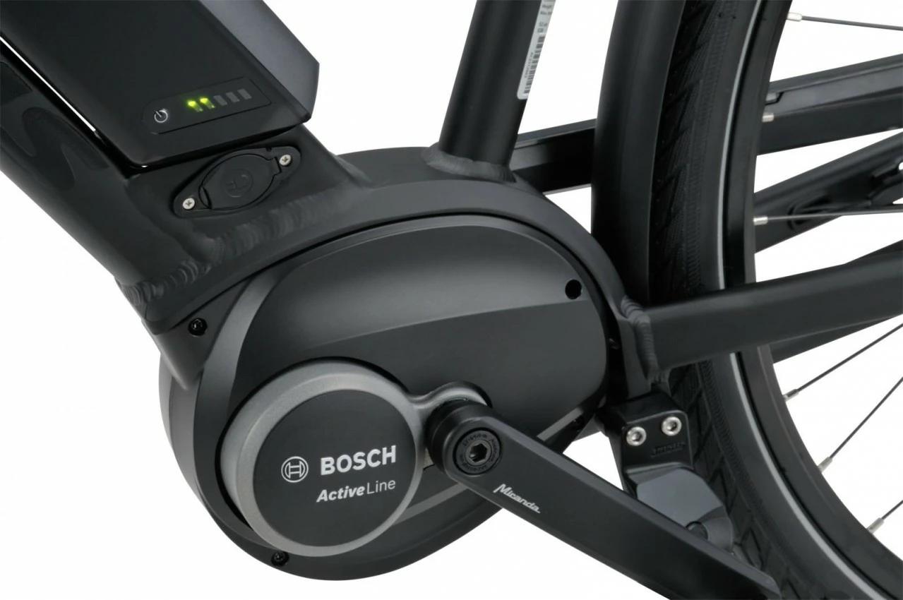 Batavus Harlem 2022 Herr - Bild 4